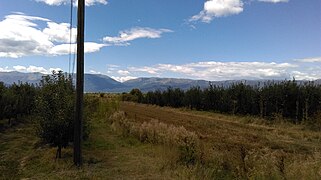 Fields and apple orchards of Rajca