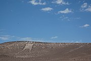 De reus van Atacama, Chili