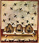 Bienenkörbe des 14. Jahrhunderts