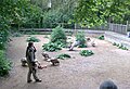 Bird show at the zoo.