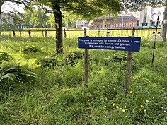 Overgrown grass with a blue sign that reads "This grass is managed by cutting 3-4 times a year to encourage wildflowers and grasses. It is used for ecology training."