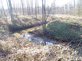 Groot Schijn in Oelegem