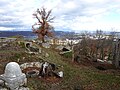 Vordere Ruine Wartenberg, Muttenz, Innenbereich mit Gedenkstein