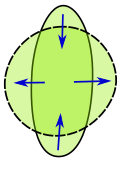 A shape can be made more round while keeping its perimeter fixed.