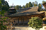 Wooden building with slightly raised floor, a step canopy and a railed veranda.