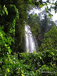 Wasserfall im Municipio Salto de Agua