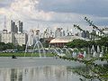 Il Parque Ibirapuera