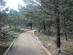 Pot Creek Trail