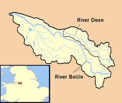 Bollin