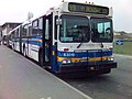 A high-floor articulated bus at the University of British Columbia bus loop. (The model is New Flyer D60.)