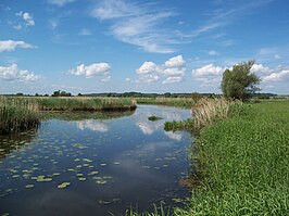 Nationaal Park Unteres Odertal