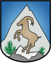 Wappen von Mittelberg