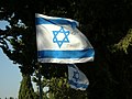 Flagge Israels auf dem Friedhof von Kfar Giladi