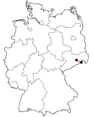 Verlauf der B 172