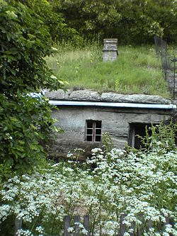 An example of an excavated house