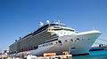 Celebrity Reflection