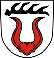 rotes Büffelgehörn mit Grind (Sachsenheim DE)