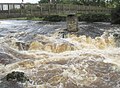 Linton Falls, summer spate