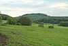 Blick vom Bereich zwischen Schackau und Fohlenweide etwa westwärts zum Wadberg