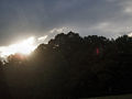 Sunset at Autrey Mill Nature Preserve & Heritage Center