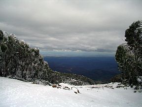 Blick vom Mt. Baw Baw