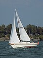 Bayfield 25