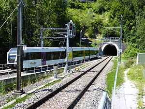 Bruggwaldtunnel