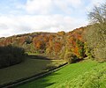 The Golden Valley in Autumn