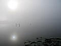 Mist over lake Kaviškis (Lithuania)