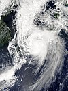 Typhoon Jebi satellite image