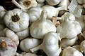 garlic