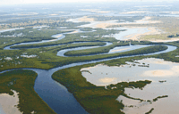 Nationalpark Delta du Saloum