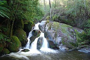 Ein Wasserfall im Yarra-Ranges-Nationalpark bei Marysville