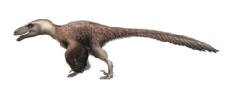 A Utahraptor rekonstrukciója