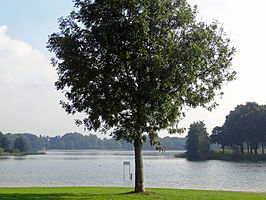 Wijthmenerplas