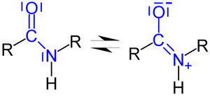 Resonantiestructuren van een carbonzuuramide