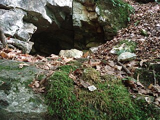 Portal des Elsachbröllers