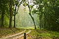 Sukna Forest, Siliguri