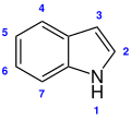 Vorschaubild der Version vom 18:51, 10. Jun. 2013