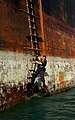 A sailor on a pilot ladder, a type of rope ladder