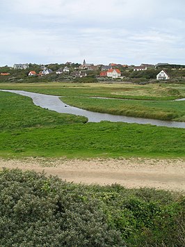 Moerasgebied bij de duinen