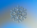 Doğal bir kar tanesinin makro fotoğrafı. 4 veya 5 milimetre çapında olan bu kar kristali, nispeten büyüktür. Aralık 2014, Moskova.