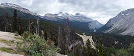 Sunwapta Pass