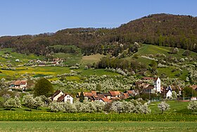 Oltingen im Frühling