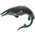 Platecarpus ictericus