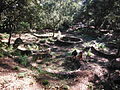 Celtiberian ruins in northern Portugal