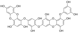 Chemical structure of dieckol