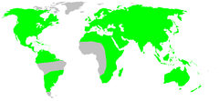 Mapa występowania