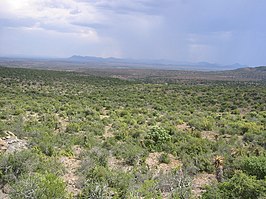 Landschap in het nationaal park Karoo