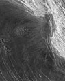 Venüs üzerindeki Maxwell Montes'deki Skadi Mons'un Magellan tarafından çekilen radar görüntüsü